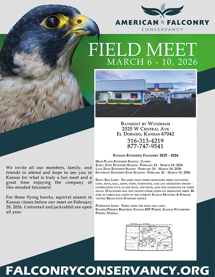 Field Meet